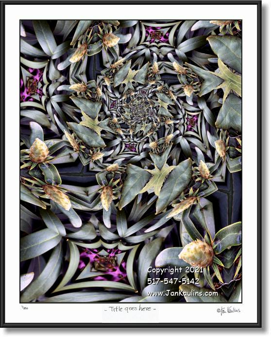 Click on this image to see an enlarged view of THE FLYING GREEN BAT CIRCUS.
