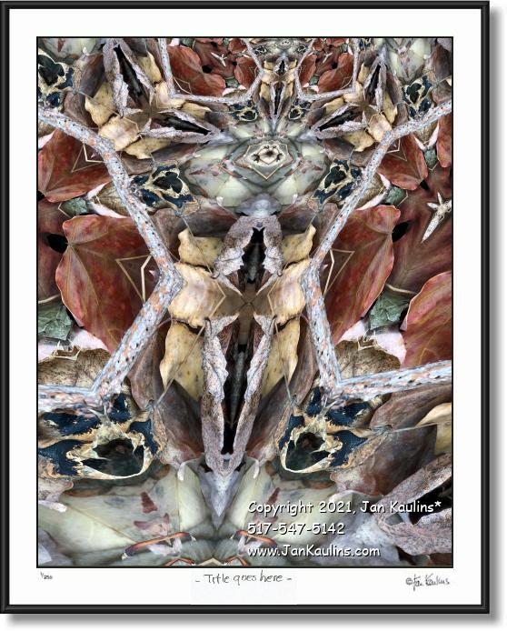 Click on this image to see an enlarged view of WELCOME---WE COME IN PEACE.