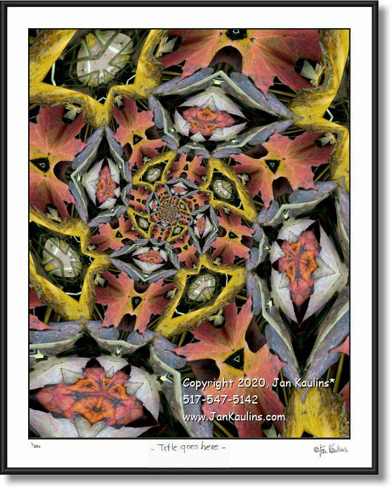 Click on this image to see an enlarged view of THE YOUNGEST LADYBUGS AWAKE AT SUNRISE.