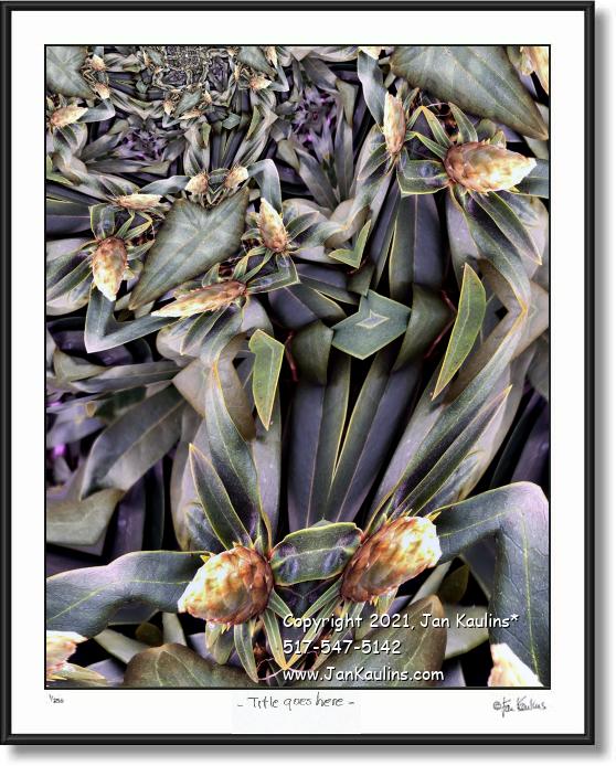 Click on this image to see an enlarged view of CACTUS BOUQUET FOR PABLO PICASSO.