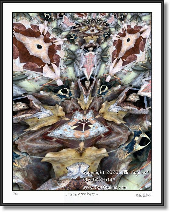 Click on this image to see an enlarged view of QUICK VISIT TO THE DREAM FACTORY.
