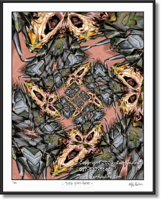 Click on this image to see an enlarged view of THE DUSTY PINEAPPLE CIRCUS.