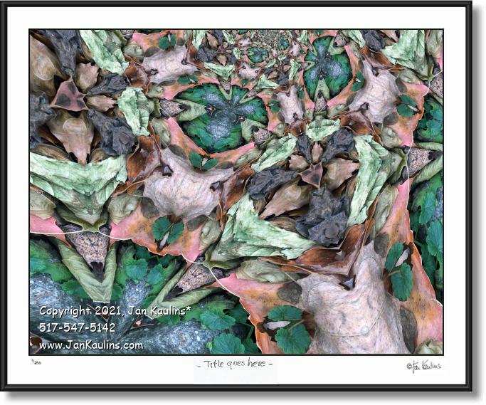 Click on this image to see an enlarged view of A SMALL GARDEN FULL OF POEMS.