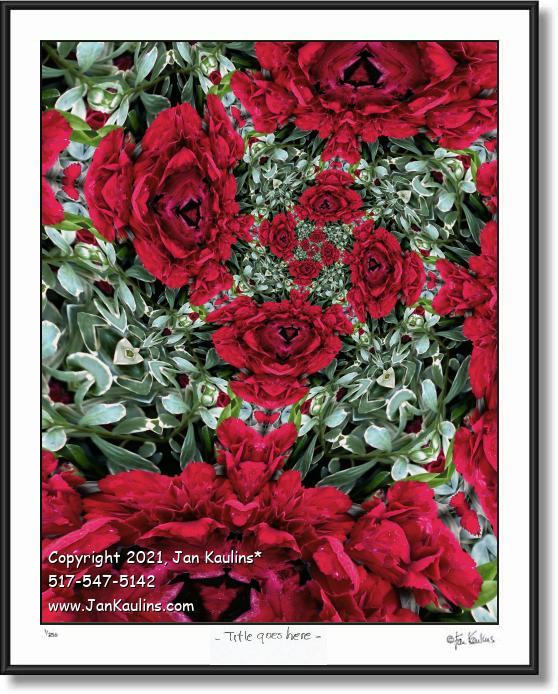 Click on this image to see an enlarged view of A ROSE BY ANY OTHER NAME.
