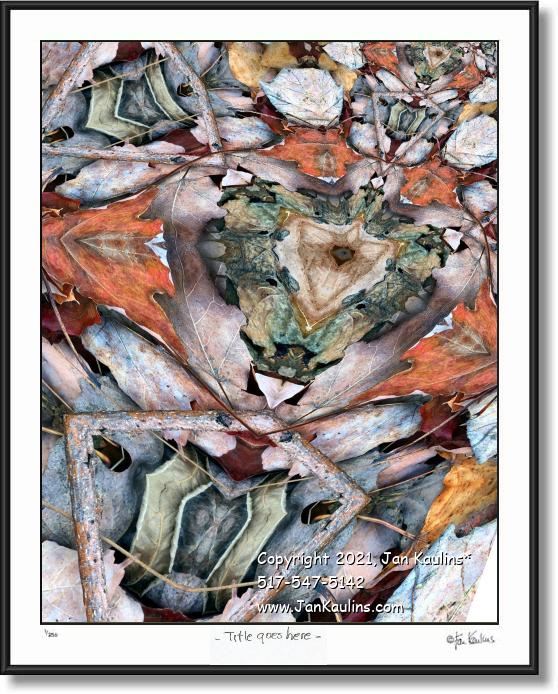 Click on this image to see an enlarged view of IN THE HEART OF A FLY.