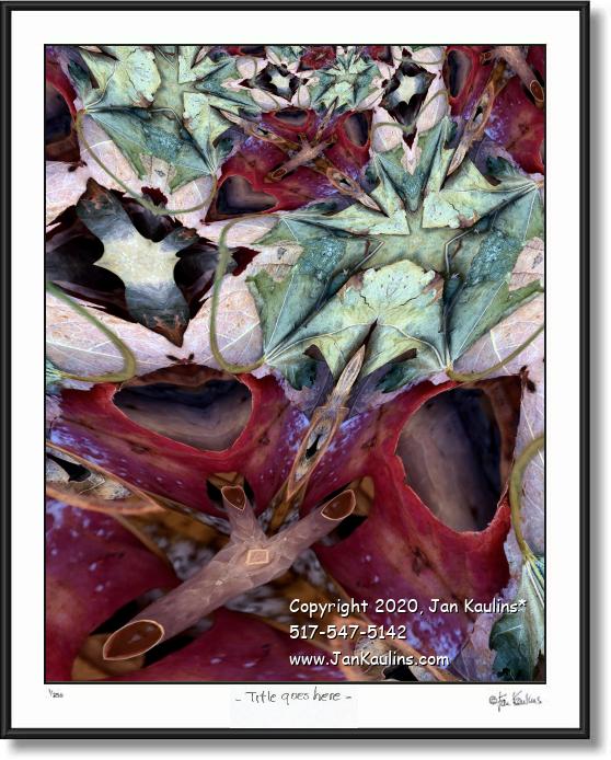 Click on this image to see an enlarged view of WHO HID MY RABBITS?.