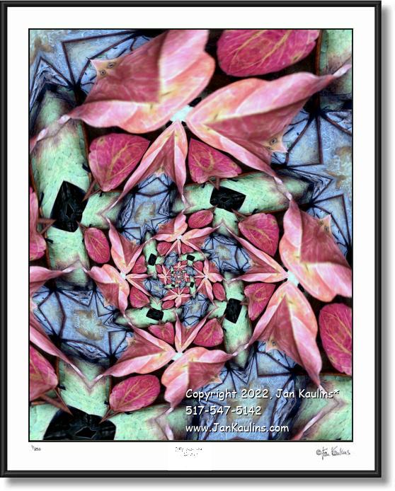Click on this image to see an enlarged view of STARFISH GALAXY GARDEN.