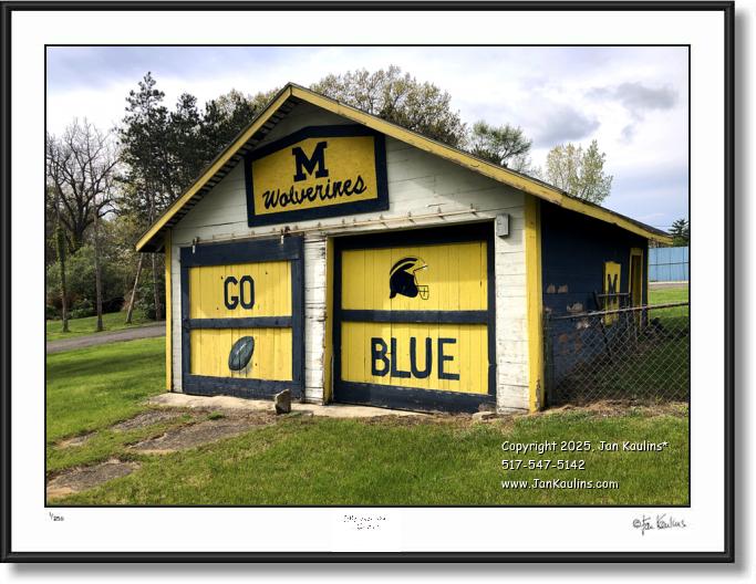 Click on this image to see an enlarged view of GO BLUE - MICHIGAN WOLVERINES.