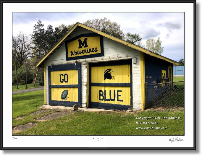 Click on this image to see an enlarged view of GO BLUE MICHIGAN shed.