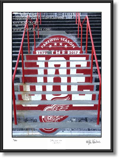 Click on this image to see an enlarged view of FAREWELL SEASON RED WINGS photo print.